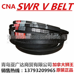 加拿大狮王 CNA SWR V BELT 三角带 工业皮带 齿带
